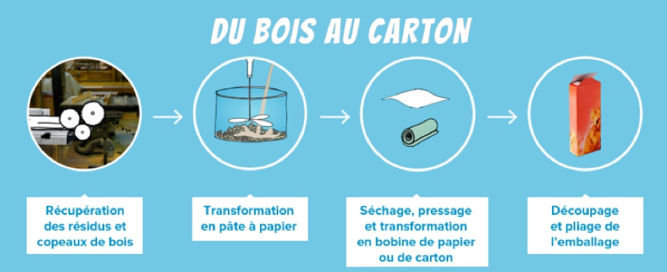 Du bois au carton